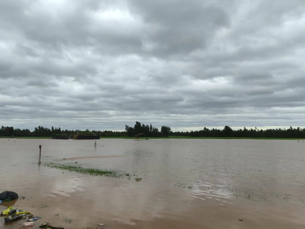 Pluies record, champs noyés : la campagne céréalière du Nord sous haute menace