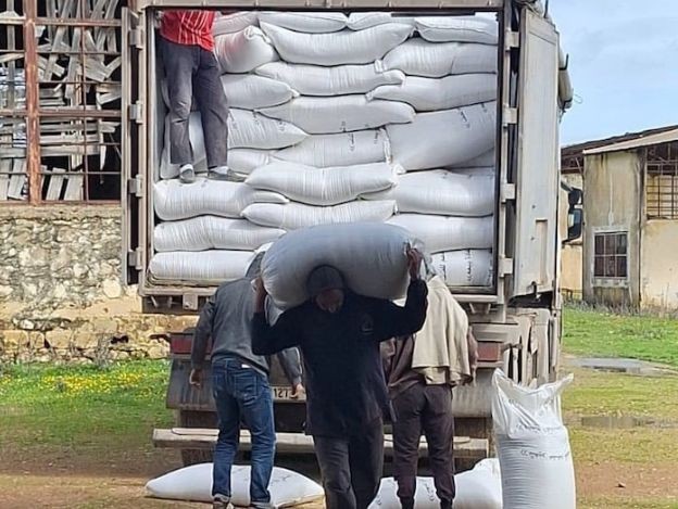 Gharb: Des centaines de tonnes de fourrage pour le bétail