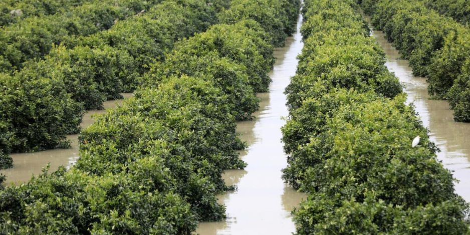 Prévisions météorologiques pour ce samedi 14 février 2026