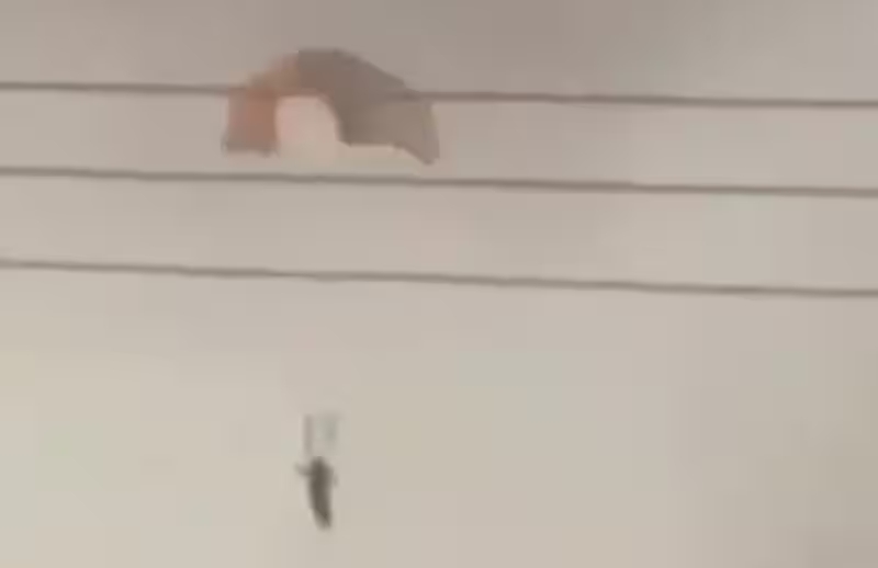 Koweït : des chasseurs américains s’écrasent, les équipages sauvés