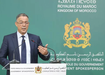 Le parler-vrai du ministre Faouzi Lakjaa