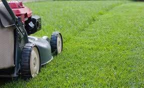 Espaces verts à Rabat : un marché aux montants qui interrogent