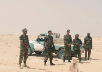 Mali : des éléments du Polisario filmés en train de combattre, la complicité algérienne en question