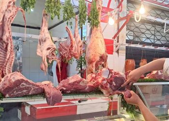Viande bovine : une nouvelle hausse menace les Marocains