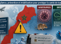 Les virus Hanta et Ebola guettent le Maroc