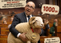 Le mouton à mille dirhams du ministre de l&rsquo;agriculture