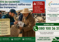 Les arnaques dans les souks de bétail