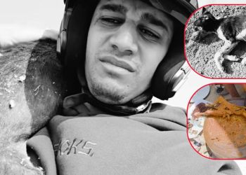 Chien mangé pendant l’Aïd : La vidéo provocatrice de « Bn Nsns » mobilise les défenseurs des animaux