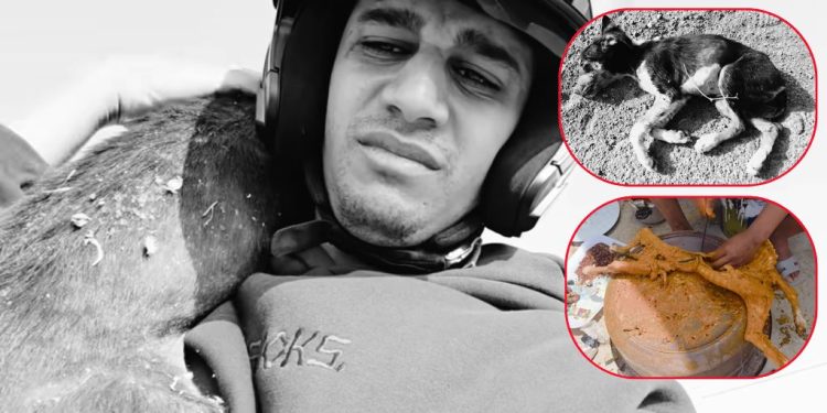 Chien mangé pendant l&rsquo;Aïd : La vidéo provocatrice de « Bn Nsns » mobilise les défenseurs des animaux
