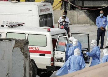 Le virus Hantavirus fait des ravages au Chili: 13 morts et une enquête autour d&rsquo;un navire de croisière