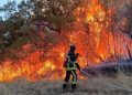 Graves menaces d’incendies de forêts au Maroc