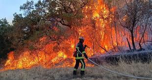 Graves menaces d’incendies de forêts au Maroc