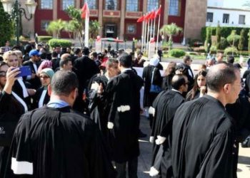 Bras de fer avec Ouahbi : les avocats annoncent une grève générale