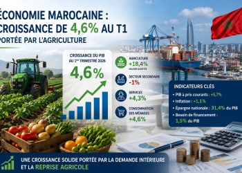 L&rsquo;économie marocaine accélère au premier trimestre grâce au spectaculaire rebond de l&rsquo;agriculture