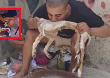Martil : Un Youtuber arrêté pour avoir tué et consommé un chien pendant l&rsquo;Aïd Al-Adha