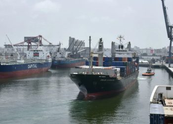 Engorgement du port de Casablanca : le blé et les aliments du bétail attendent, les prix menacés