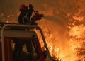 Vagues de feux de forêt en Europe : évacuations massives et destructions sans précédent