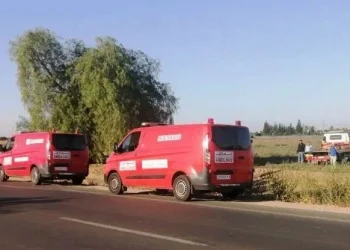 Cinq morts, dont un enfant, dans une violente collision