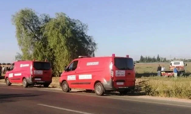 Cinq morts, dont un enfant, dans une violente collision
