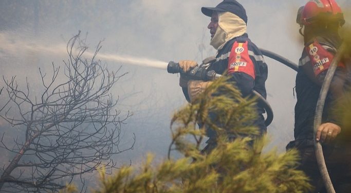 Les incendies ravagent l&rsquo;Algérie : bilan humain lourd et investigations en cours