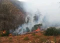 L’incendie de la forêt d’Ounaine sous contrôle après cinq jours de lutte acharnée