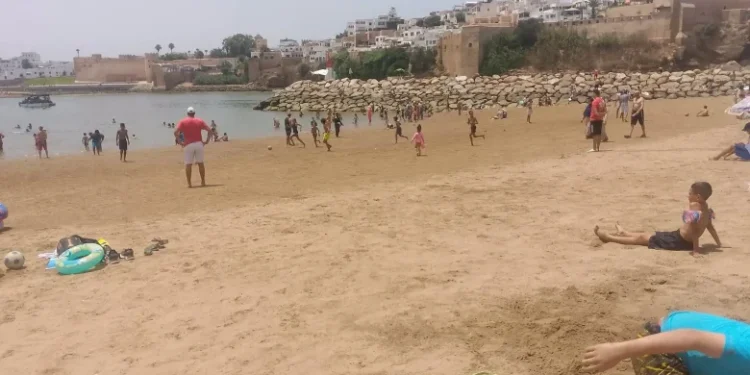 Déchets, sanitaires absents et parkings litigieux : la plage de Salé sous le feu des critiques