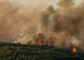 Incendies dans le sud de la France: 800 hectares ravagés, des centaines d’habitants évacués