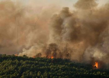 Incendies dans le sud de la France: 800 hectares ravagés, des centaines d’habitants évacués