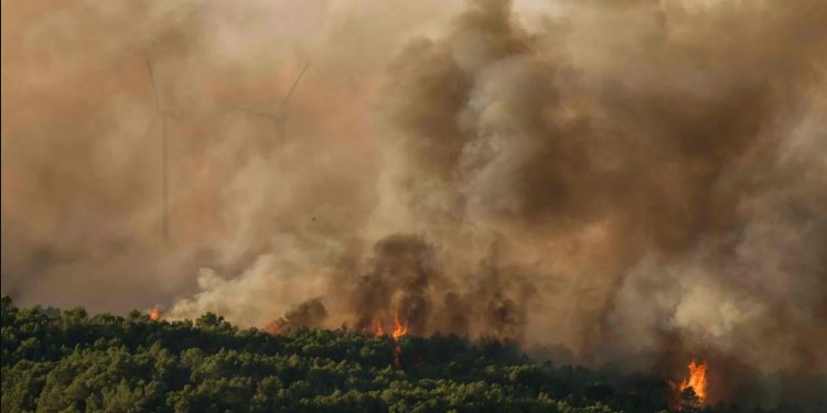 Incendies dans le sud de la France: 800 hectares ravagés, des centaines d’habitants évacués