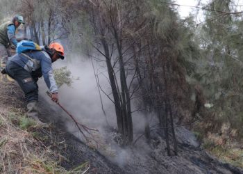 Indonésie : des dizaines d&rsquo;écoles fermées face aux incendies de forêt et à l&rsquo;air toxique