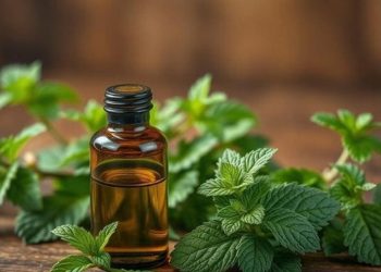 L&rsquo;huile de menthe poivrée ferait baisser la tension artérielle