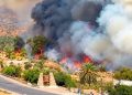 Agadir : un incendie ravage une oasis, habitants évacués