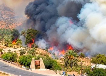 Agadir : un incendie ravage une oasis, habitants évacués