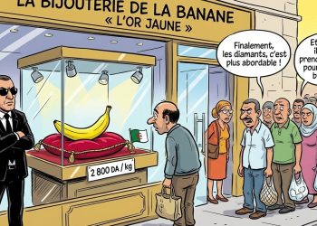 Pénuries alimentaires en Algérie : la colère monte sur les réseaux