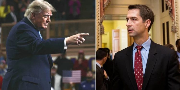 Trump publie le numéro d’un sénateur pour le faire plier