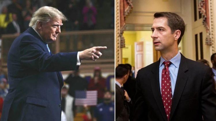 Trump publie le numéro d'un sénateur pour le faire plier - 1