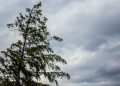 Vague de chaleur et orages de grêle attendus ce week-end