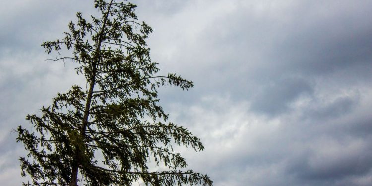 Vague de chaleur et orages de grêle attendus ce week-end
